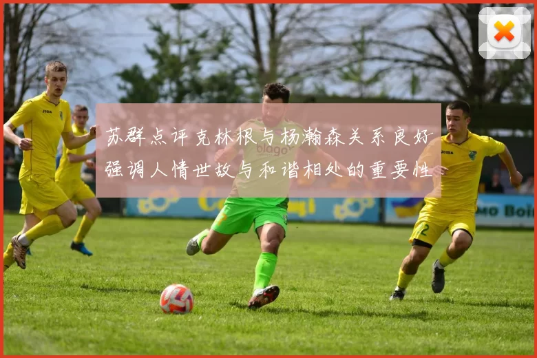 苏群点评克林根与杨瀚森关系良好强调人情世故与和谐相处的重要性
