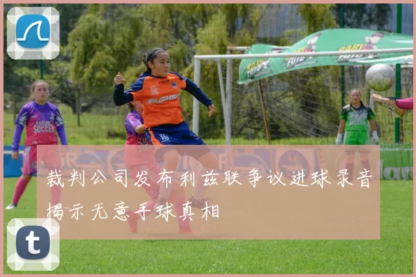 裁判公司发布利兹联争议进球录音揭示无意手球真相