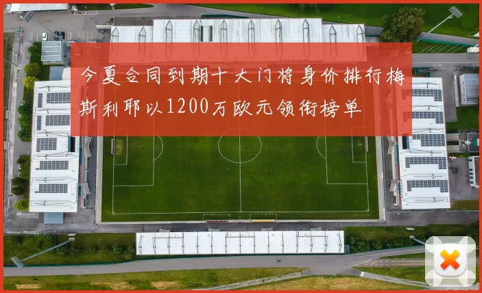 今夏合同到期十大门将身价排行梅斯利耶以1200万欧元领衔榜单